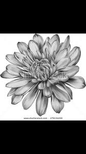 Waylon Kevin Jules November Birth Flower Tatoo Idea Birth Flower Tattoos Chrysanthemum Tattoo Chrysanthemum Flower Tattoo