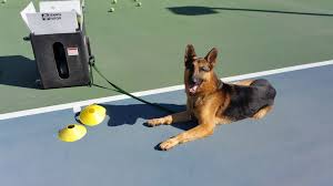 Profile for MoreSpin Tennis