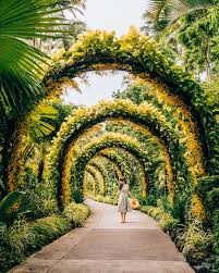 Why You Should Visit The Singapore Botanic Gardens Travel In Our Eyes In 2020 Singapore Garden Singapore Botanic Gardens Botanical Gardens