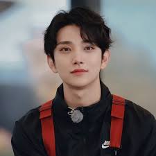 Jual Berkualitas Per Depan Mercy Tiger W123