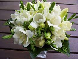 White Freesia Wedding Bouquet Www Fbdesign Com Au P31 Natu Flickr Wedding Flower Girl Basket Freesia Wedding Bouquet Wedding Bouquets