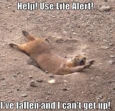 We did not find results for: Second Life Marketplace I Ve Fallen And I Can T Get Up Gesture