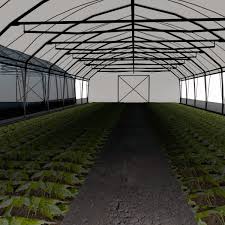 Greenhouse Green House 3d Model House 3d Model Greenhouse 3d Model