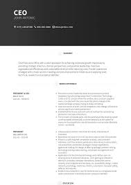 Jobseekers may download and use this example for their own personal use to help them create their own unique ceo resume. Ceo Resume Samples And Templates Visualcv