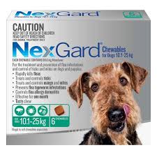 This video will talk about what happens when you first start facial. Nexgard Flea And Tick Chew For Medium Dog 10 1 25kg Petbarn