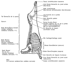 Lamb Meat Cuts Manual Canadian Food Inspection Agency