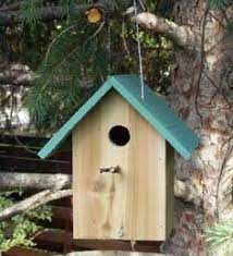 The reason being is it is meant to hold house sparrows. 7 Bird House Plans Free Ideas Bird House Plans Bird House Bird Houses Diy