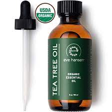 Best Tea Tree Oil Brands For Acne How To Cure Acne With Tea Tree Oil Best Tea Tree Oil Organic Tea Tree Oil Tea Tree Oil For Acne