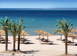 Kempinski hotel soma bay biedt gasten superieure services, plus een breed scala aan voorzieningen, en is toegewijd om uw verblijf zo comfortabel mogelijk te maken. Kempinski Hotel Soma Bay Windsurfen Kitesurfen Surfschulen Und Surfreisen Spotnetz De