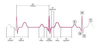 Can create a design, formulate a plan, and deliver a fabulous plan for you. A Typical Electrocardiogram Ecg Signal That Includes Three Heartbeats Download Scientific Diagram
