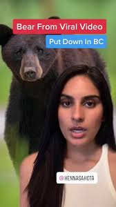 Bear Gets Child in Tree During Helene