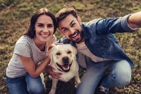 This is much more important than the purchase price! Cost Of Owning A Labrador Monthly Yearly Breakdown