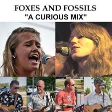 Products Foxes And Fossils In 2020 Music Fossils Apparel Merchandising