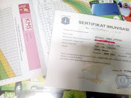 Tujuannya, untuk mengantisipasi kejadian ikutan pasca imunisasi (kipi). Membuat Sertifikat Imunisasi Anak Di Puskesmas Mariasoraya Com