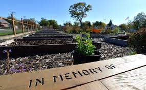 In Memory Of' garden first to join DPDs Project Green Light