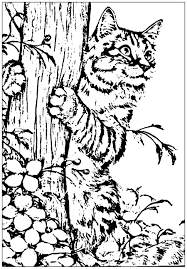 Such as you know, the cat is a cute animal… Printable Coloring Pages Of Cats Novocom Top