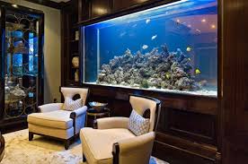 A freshwater planted aquarium is a unique and natural aquatic ecosystem you can create for your home. 30 Fish Tank Ideas For A Relaxing Home