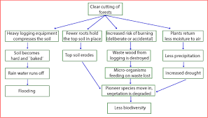 a difficult flow chart sample answer ted ielts