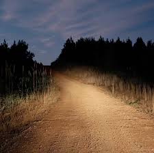 Woman Jumps Out of Moving Vehicle