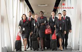 However, if you apply for a job already possessing these skills we did a survey to ask other flight attendants what degree they had when they first became one. Air Canada Hiring For Lead Cabin Service Cleaning Attendant 2020
