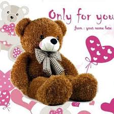 Cute Teddy Bears Pics Only For You Images With My Nme Editor Teddy Bear Only For You Images With My N Valentines Day Teddy Bear Teddy Bear Pictures Teddy Day