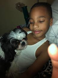 UPDATE: FOUND**Trying to help my sister and her family. Their pup Oreo got  loose