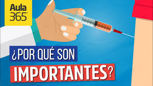 Cuidemos la salud de los que. Que Son Las Vacunas Videos Educativos Aula365 Youtube