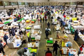 Resultat d'imatges de mercado