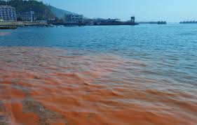 紅潮の言い換えや別の言い方。・意義素類語困惑または恥などで赤面する赤らめる ・ 染める ・ ぽっとする ・ 赤む ・ 火照る ・ 熱る ・ 赤らびる ・ 赤面 ・ 赤らむ ・ 赧らめる ・ ぽうっとする ・ 頬染める赤またはピンク. é¦™æ¸¯éŽåŽ»ä¸€å'¨ç¾4å®—ç´…æ½® è¦èž å¤§å…¬æ–‡åŒ¯ç¶²