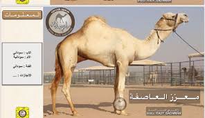We did not find results for: Ø±Ø§Ø¹ÙŠ Ø§Ù„Ø®ÙŠØ§Ù„ÙŠÙ‡ On Twitter 52 ÙˆØ±Ø³Ø§Ù† Ø§Ù„Ø¹Ø§ØµÙØ©