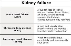 Renal failure in the largest biology dictionary online. What Is Kidney Failure And How It Is Treated In Homeopathy