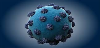 The hepatitis e virus is transmitted mainly through contaminated drinking water. Kampagne Will Hepatitis C Ausrotten
