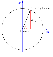 Euler S Formula Wikipedia Mathematics Studying Math Theorems