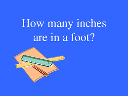1 foot is equal to 12 inches: Ppt How Many Inches Are In A Foot Powerpoint Presentation Free Download Id 6186562