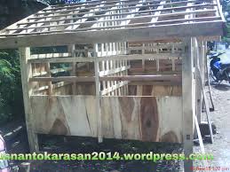 Bahan bambu mudah diperoleh di seluruh. Foto Kandang Kambing Panggung
