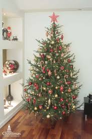 Red and gold decorated christmas tree rental, commercial christmas decorator, christmas tree rentals, christmas decoration rentals, wreath rentals, commercial christmas how to decorate a red and gold christmas tree. The 128pc Red Gold Full Heavy Coverage Bauble Set 6ft Trees