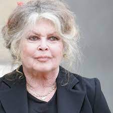 Brigitte bardot's life in photos. I Know What It Feels Like To Be Hunted Brigitte Bardot On Life In The Spotlight Brigitte Bardot The Guardian