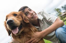 Family pet veterinary services, атол. Silver Spring Md Veterinary Services Family Pet Veterinary Practice