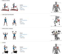 Ti consiglio di chiedere aiuto a qualcuno di preparato, e non inventarti nulla. Rimettiti In Forma In 3 Mesi Evolutionfit