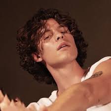 Shawn Mendes Updates