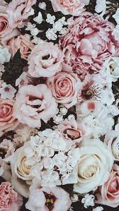 45 Beautiful Roses Wallpaper Backgrounds For Iphone In 2020 Flower Phone Wallpaper Flower Background Iphone Pretty Wallpaper Iphone