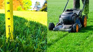 We did not find results for: How To Plant Grass Seed On Existing Lawns Reviews Root
