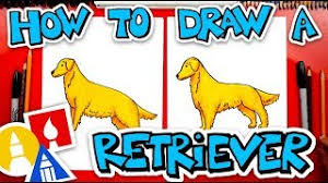 We can draw a medium to large sized dog. How To Draw A Golden Retriever Youtube