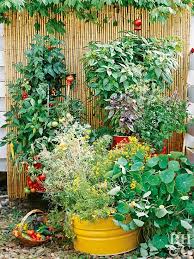 19 Ways To Grow Vegetables In Containers That Will Look As Gorgeous As They Taste Growing Vegetables Vegetable Garden Planning Growing Vegetables In Containers