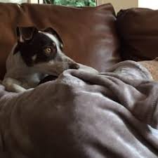 Start by marking dubuque, iowa (then and now) as want to read Top 10 Best Animal Shelters In Dubuque County Ia Last Updated November 2020 Yelp