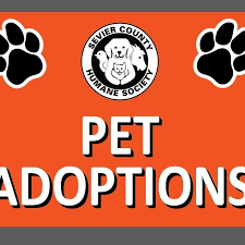 Western ave chicago, il 60608. Humane Society Of Jefferson County Tn Home Facebook