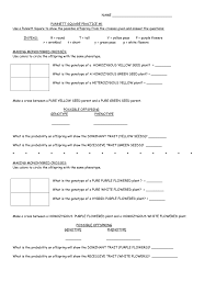 Create a punnett square to show the possibilities that would result if spongebob and spongesusie had children. Punnett Square Practice Genetics Lab