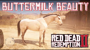 The kiger mustang and its ancestry. There S A Buttermilk Buckskin Kentucky Saddler And A Liver Chestnut Morgan At The Tumbleweed Stable Youtube