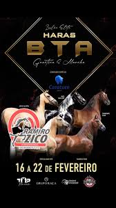 Informações, vídeo caseiros, lances.., 35 9 99077171