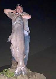 Angler Gathering Thoughts Lands 103 Pound Catfish